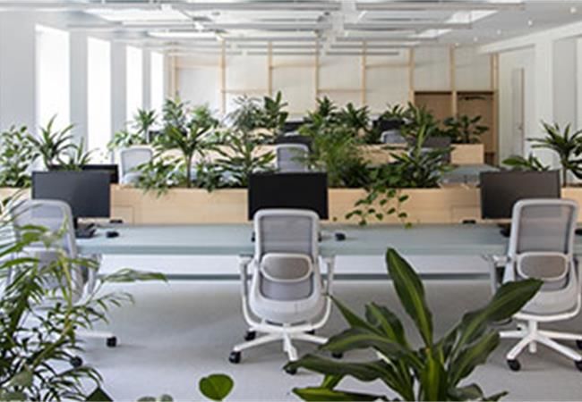 合肥工裝公司:辦公室裝修采光設計有哪些技巧？